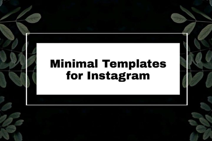 Make a minimal Instagram video post, App for editable and minimal Instagram video post templates - ProVideo